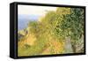 On Island of Elba-Telemaco Signorini-Framed Stretched Canvas