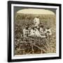 On 'La Union' Sugar Plantation, San Luis, Santiago Province, Cuba, 1899-Underwood & Underwood-Framed Giclee Print