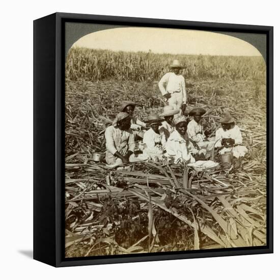 On 'La Union' Sugar Plantation, San Luis, Santiago Province, Cuba, 1899-Underwood & Underwood-Framed Stretched Canvas