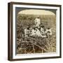 On 'La Union' Sugar Plantation, San Luis, Santiago Province, Cuba, 1899-Underwood & Underwood-Framed Giclee Print