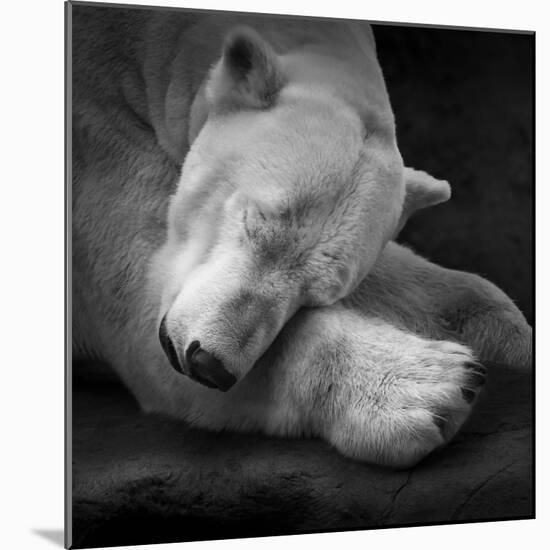 On My Pillow-Andreas Krinke-Mounted Giclee Print