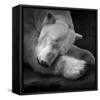 On My Pillow-Andreas Krinke-Framed Stretched Canvas