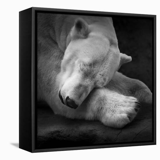 On My Pillow-Andreas Krinke-Framed Stretched Canvas