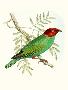 Just the Print