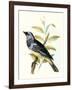 Gramercy Espresso