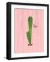 On Pink 1-Kimberly Allen-Framed Art Print