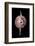 On Pointe-Darlene Hewson-Framed Photographic Print