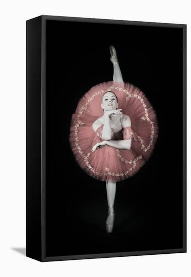 On Pointe-Darlene Hewson-Framed Stretched Canvas