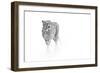 On Prowl-Anita Singh-Framed Giclee Print