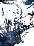 Blue Jay Mix-On Rei-Art Print