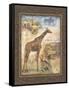 On Safari II-Tina Chaden-Framed Stretched Canvas