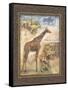 On Safari II-Tina Chaden-Framed Stretched Canvas