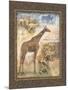 On Safari II-Tina Chaden-Mounted Art Print