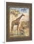 On Safari II-Tina Chaden-Framed Art Print