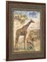 On Safari II-Tina Chaden-Framed Art Print