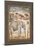 On Safari, no. 3-Tina Chaden-Mounted Art Print