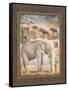 On Safari, no. 3-Tina Chaden-Framed Stretched Canvas