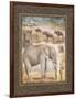 On Safari, no. 3-Tina Chaden-Framed Art Print