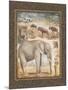 On Safari, no. 3-Tina Chaden-Mounted Art Print