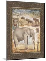 On Safari, no. 3-Tina Chaden-Mounted Art Print