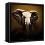 On Safari-Bobbie Goodrich-Framed Stretched Canvas