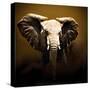 On Safari-Bobbie Goodrich-Stretched Canvas