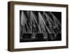 On stage-Adrian Popan-Framed Photographic Print