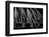 On stage-Adrian Popan-Framed Photographic Print