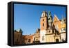 On Territory of Royal Palace in Wawel in Krakow, Poland.-De Visu-Framed Stretched Canvas