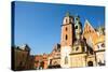 On Territory of Royal Palace in Wawel in Krakow, Poland.-De Visu-Stretched Canvas