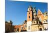 On Territory of Royal Palace in Wawel in Krakow, Poland.-De Visu-Mounted Photographic Print