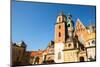 On Territory of Royal Palace in Wawel in Krakow, Poland.-De Visu-Mounted Photographic Print