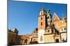 On Territory of Royal Palace in Wawel in Krakow, Poland.-De Visu-Mounted Photographic Print