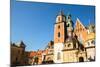 On Territory of Royal Palace in Wawel in Krakow, Poland.-De Visu-Mounted Photographic Print