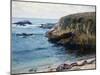 On the 17 Mile Drive-Guy Rose-Mounted Art Print