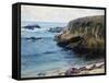 On the 17 Mile Drive-Guy Rose-Framed Stretched Canvas