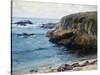 On the 17 Mile Drive-Guy Rose-Stretched Canvas