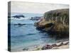 On the 17 Mile Drive-Guy Rose-Stretched Canvas