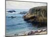 On the 17 Mile Drive-Guy Rose-Mounted Art Print