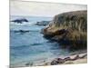 On the 17 Mile Drive-Guy Rose-Mounted Art Print