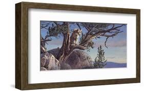 On the Alert-Kalon Baughan-Framed Art Print