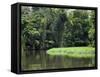 On the Back Waters at Tortuguero, Costa Rica, Central America-R H Productions-Framed Stretched Canvas