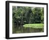 On the Back Waters at Tortuguero, Costa Rica, Central America-R H Productions-Framed Photographic Print