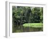 On the Back Waters at Tortuguero, Costa Rica, Central America-R H Productions-Framed Photographic Print