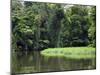 On the Back Waters at Tortuguero, Costa Rica, Central America-R H Productions-Mounted Photographic Print