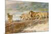 On the Bank of an African River, 1918-Briton Riviere-Mounted Giclee Print