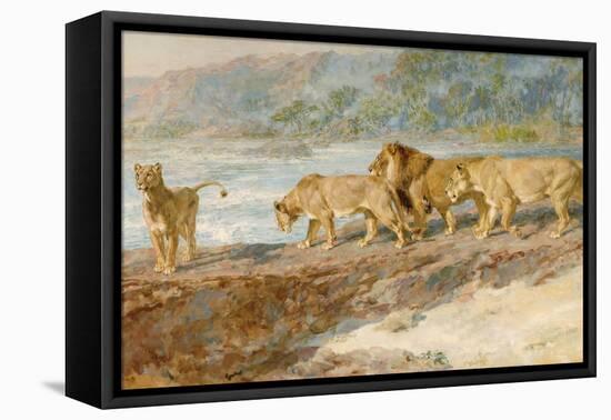 On the Bank of an African River, 1918-Briton Riviere-Framed Stretched Canvas