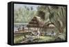 On the Banks of the Oyapock River, French Guiana-null-Framed Stretched Canvas