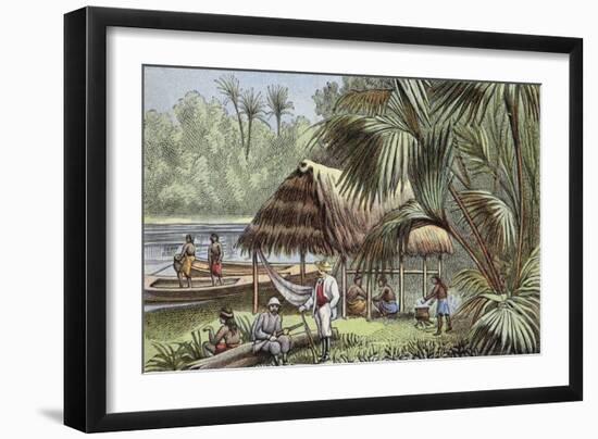 On the Banks of the Oyapock River, French Guiana-null-Framed Giclee Print