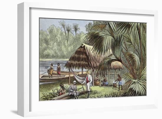 On the Banks of the Oyapock River, French Guiana-null-Framed Giclee Print